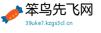 笨鸟先飞网